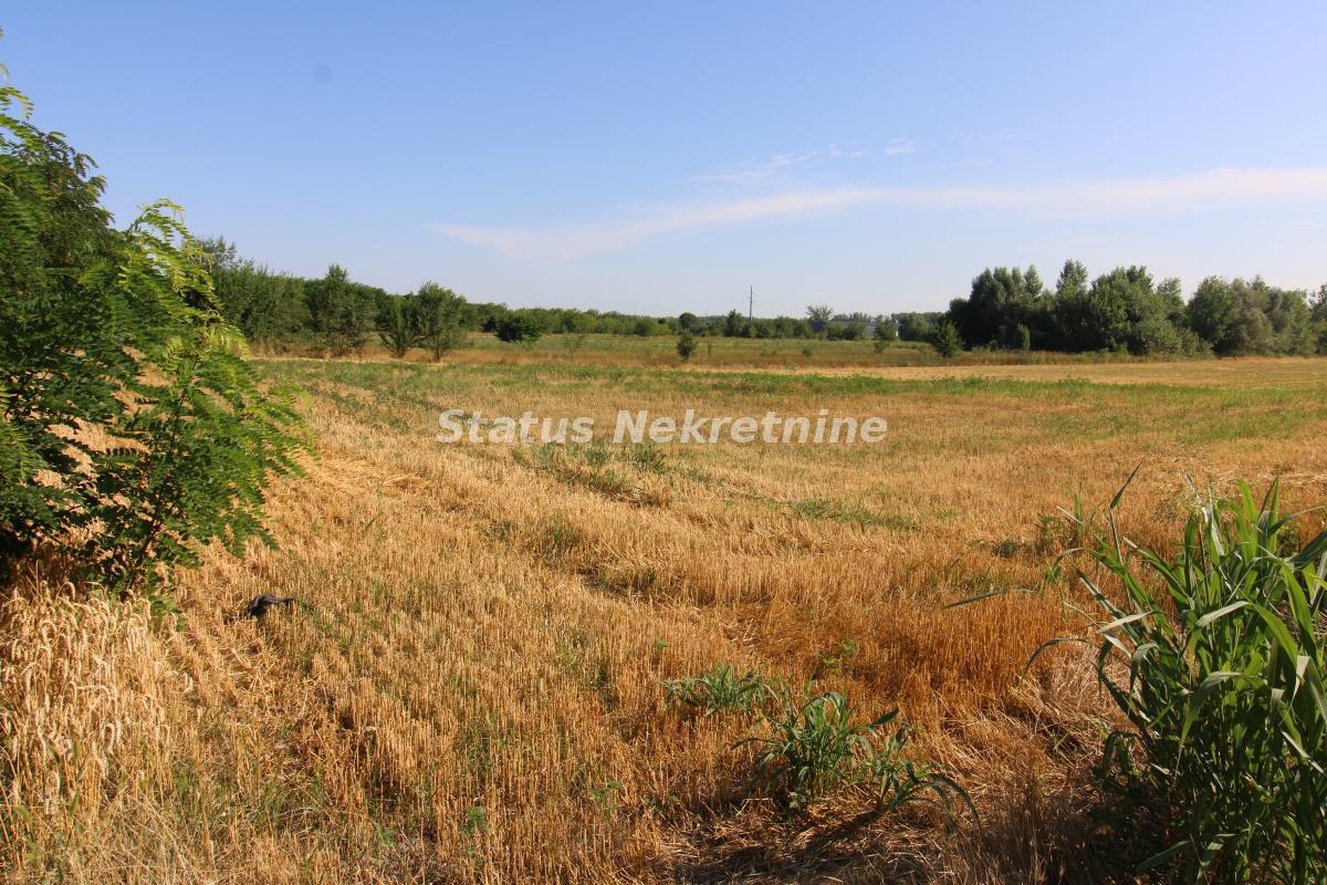 Plac Prodaja Novi Sad Plac Prodaja Novi Sad 0 m2