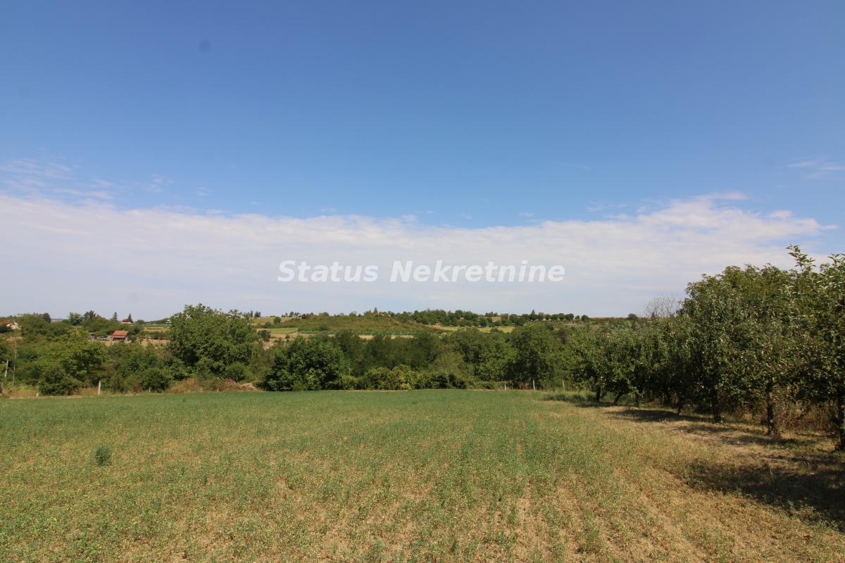 Plac Prodaja Beočin  0 m2