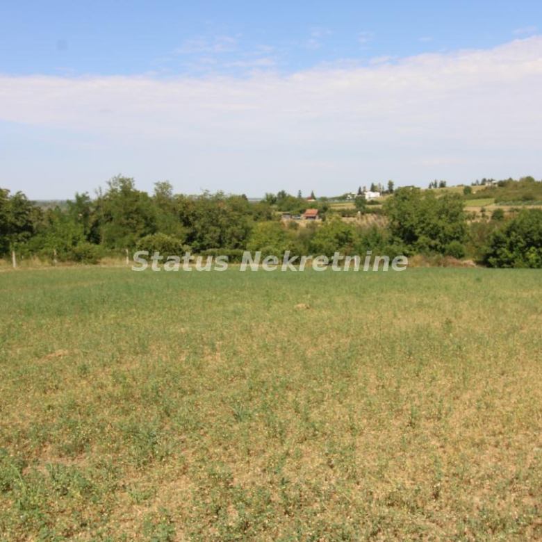Plac Prodaja Beočin  0 m2