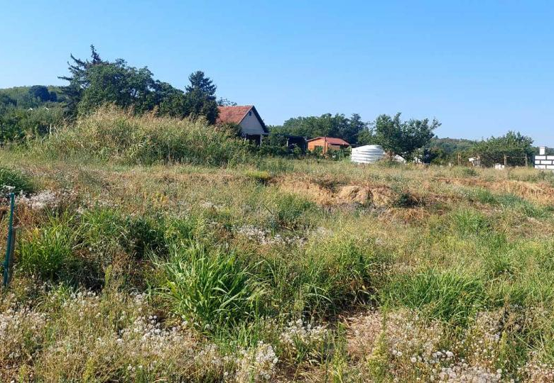 Plac Prodaja Novi Sad Alibegovac 1430 m2