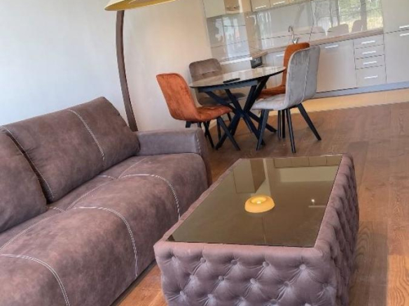 Stan Izdavanje Beograd Višnjička Banja 46 m2