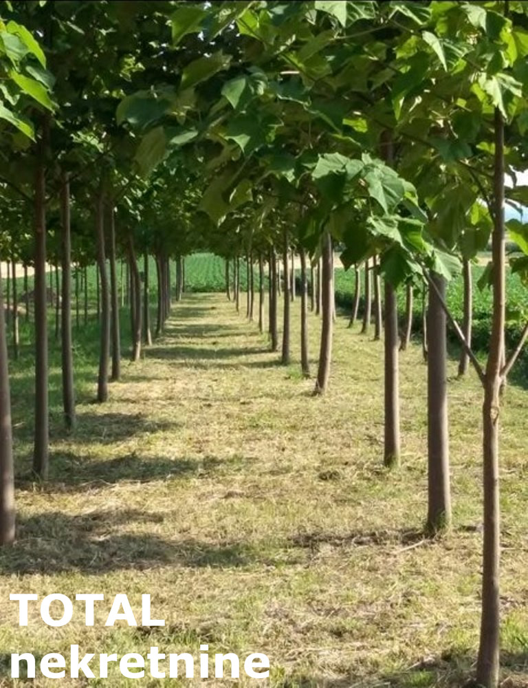 Kuća Prodaja Sremska Mitrovica Kuća Prodaja Sremska Mitrovica 60 m2