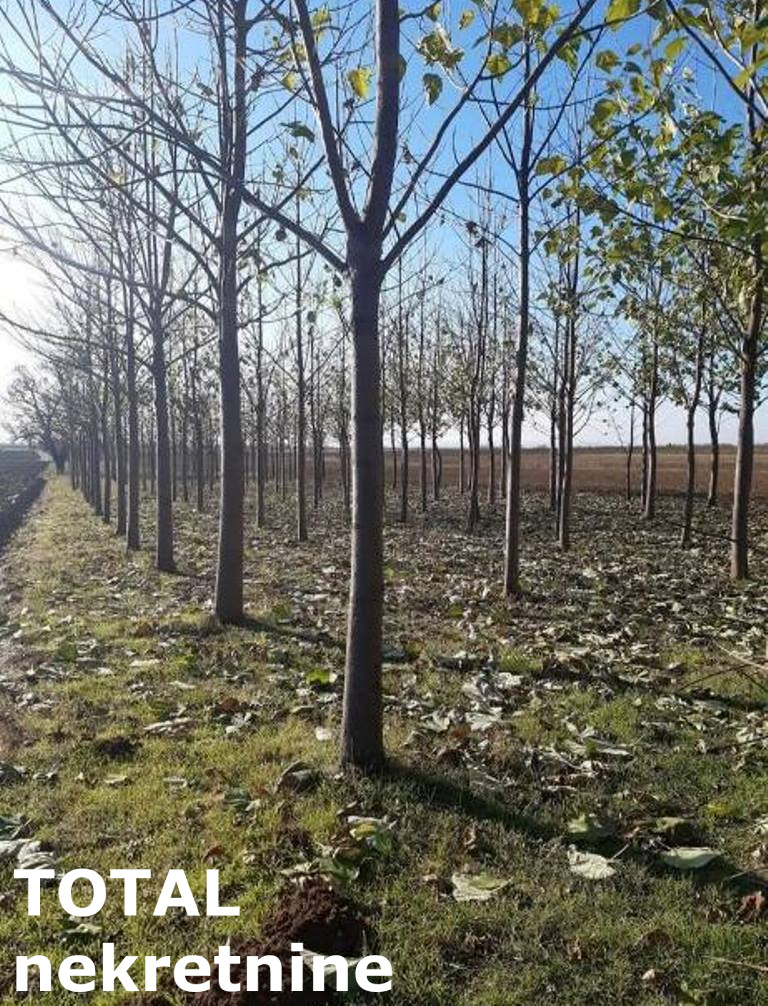 kuce-salas-nocajski-3046507-wfm0o Kuća Prodaja Sremska Mitrovica 60 m2