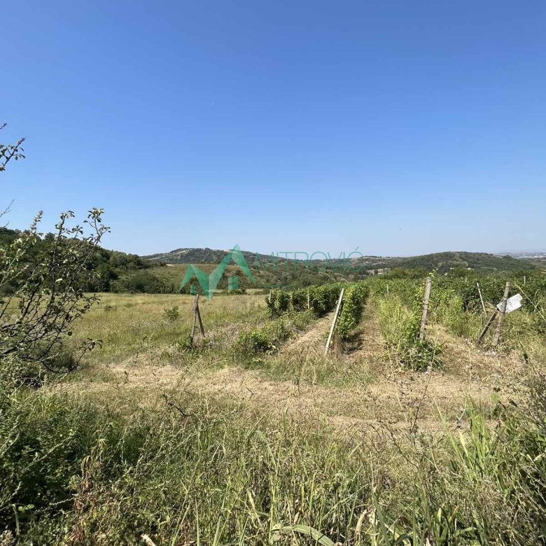 Plac Prodaja Sremska Kamenica  2964 m2