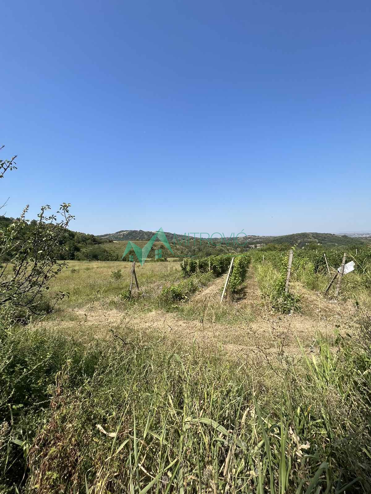 Plac Prodaja Sremska Kamenica Plac Prodaja Sremska Kamenica 2964 m2