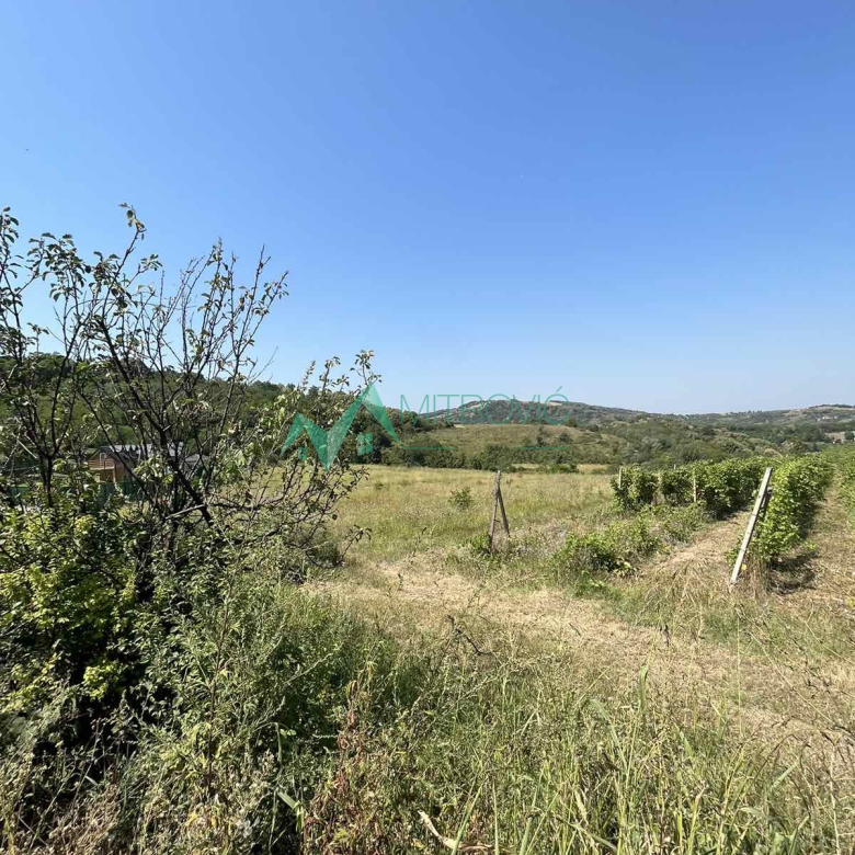 Plac Prodaja Sremska Kamenica  2964 m2