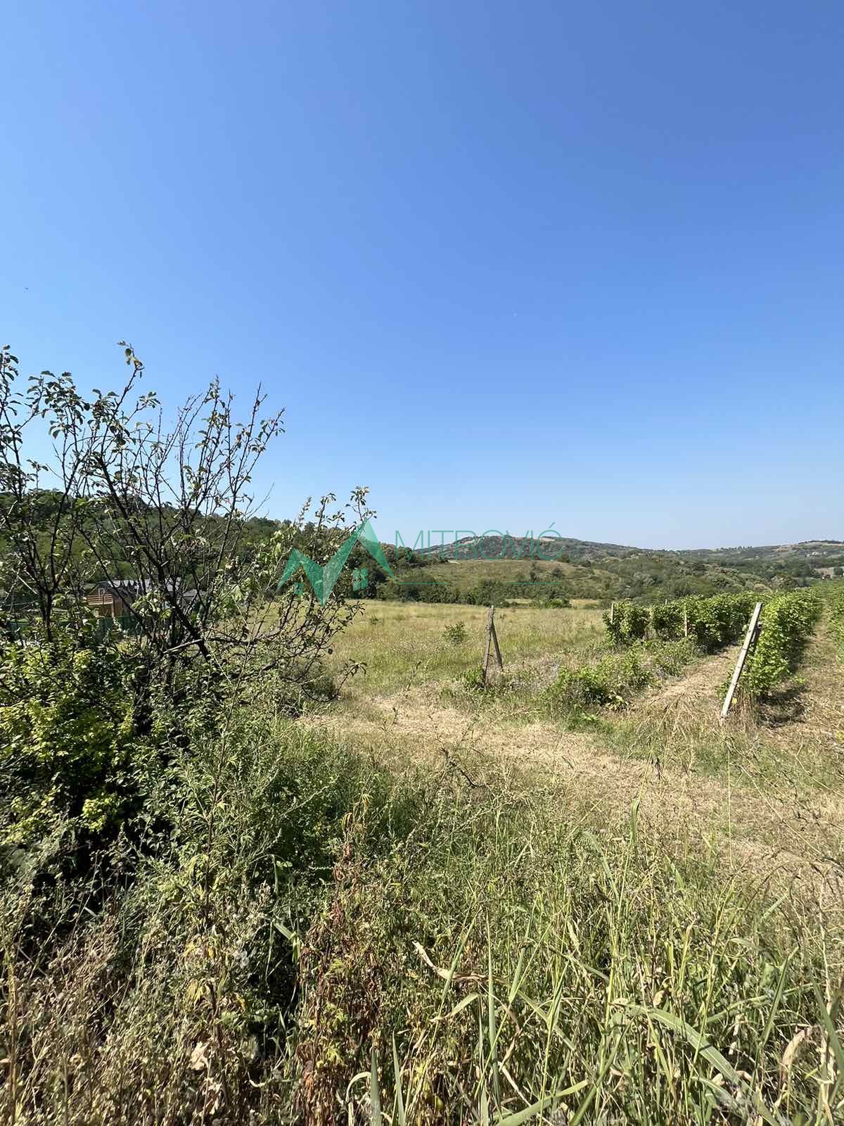 Plac Prodaja Sremska Kamenica Plac Prodaja Sremska Kamenica 2964 m2