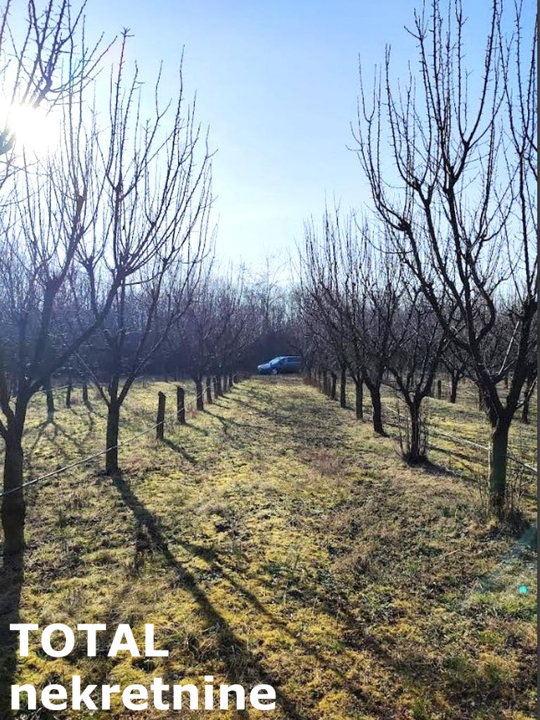 Plac Prodaja Novi Sad Plac Prodaja Novi Sad 11019 m2