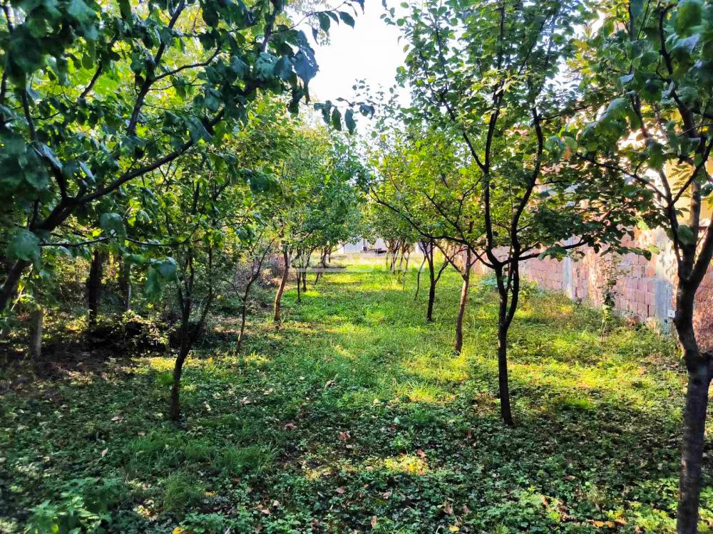 Plac Prodaja Pančevo Plac Prodaja Pančevo Stara Misa 0 m2