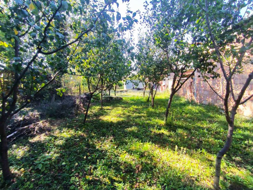 Plac Prodaja Pančevo Plac Prodaja Pančevo Stara Misa 0 m2