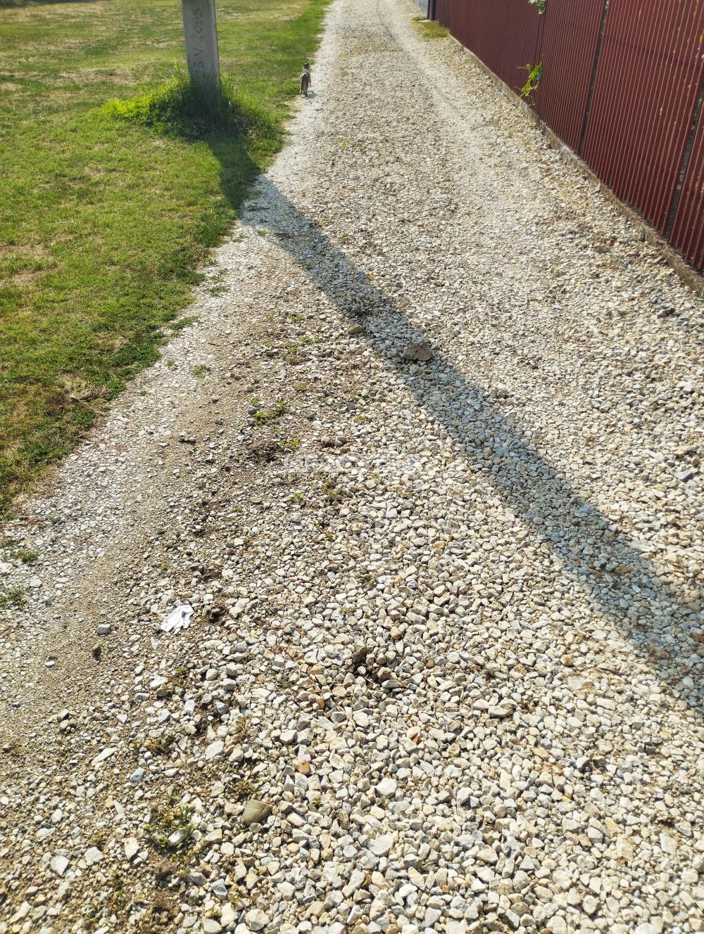 Plac Prodaja Pančevo Plac Prodaja Pančevo Stara Misa 0 m2