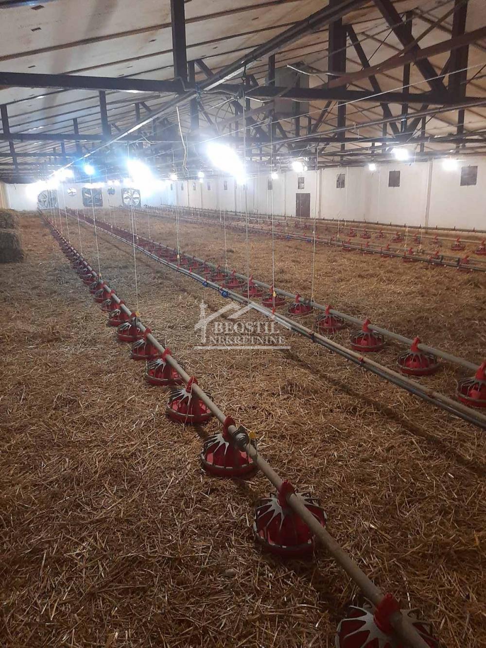 Lokal Prodaja Beograd Lokal Prodaja Beograd Umčari 800 m2