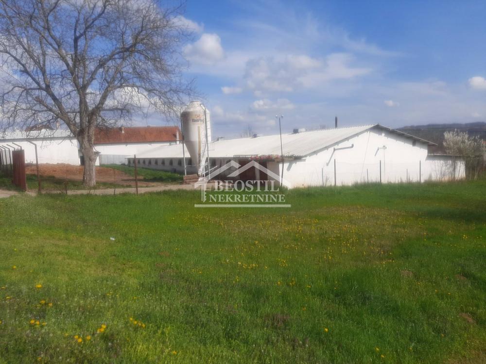 Lokal Prodaja Beograd Lokal Prodaja Beograd Umčari 800 m2