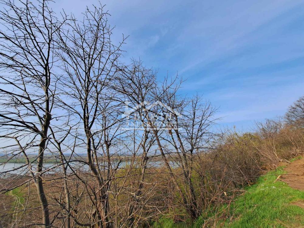132025318_16_20260619081832 Plac na prodaju, Brestovik, Beograd, 49,66 ari, 28.000 €