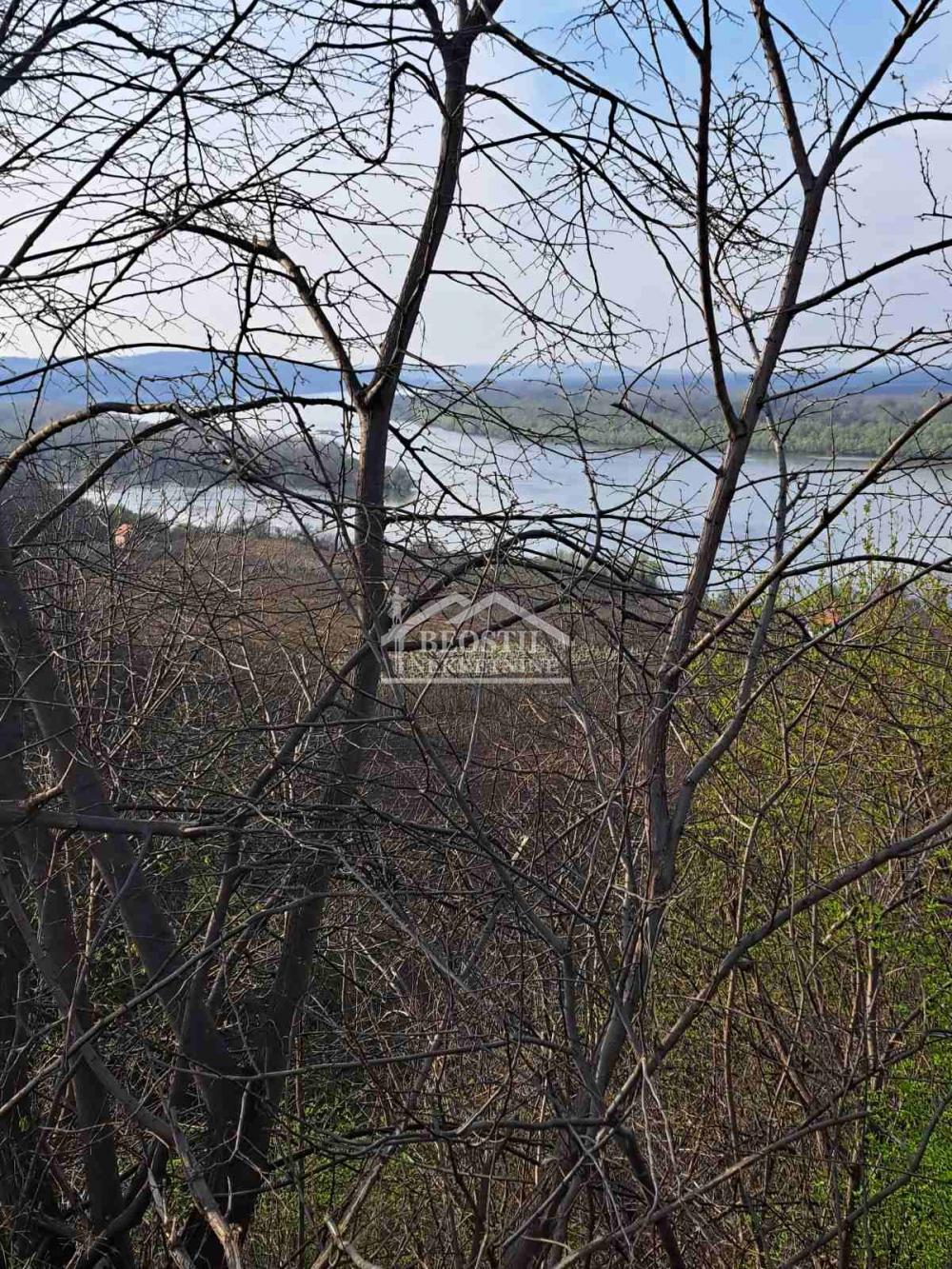 132025318_17_20260619081832 Plac na prodaju, Brestovik, Beograd, 49,66 ari, 28.000 €