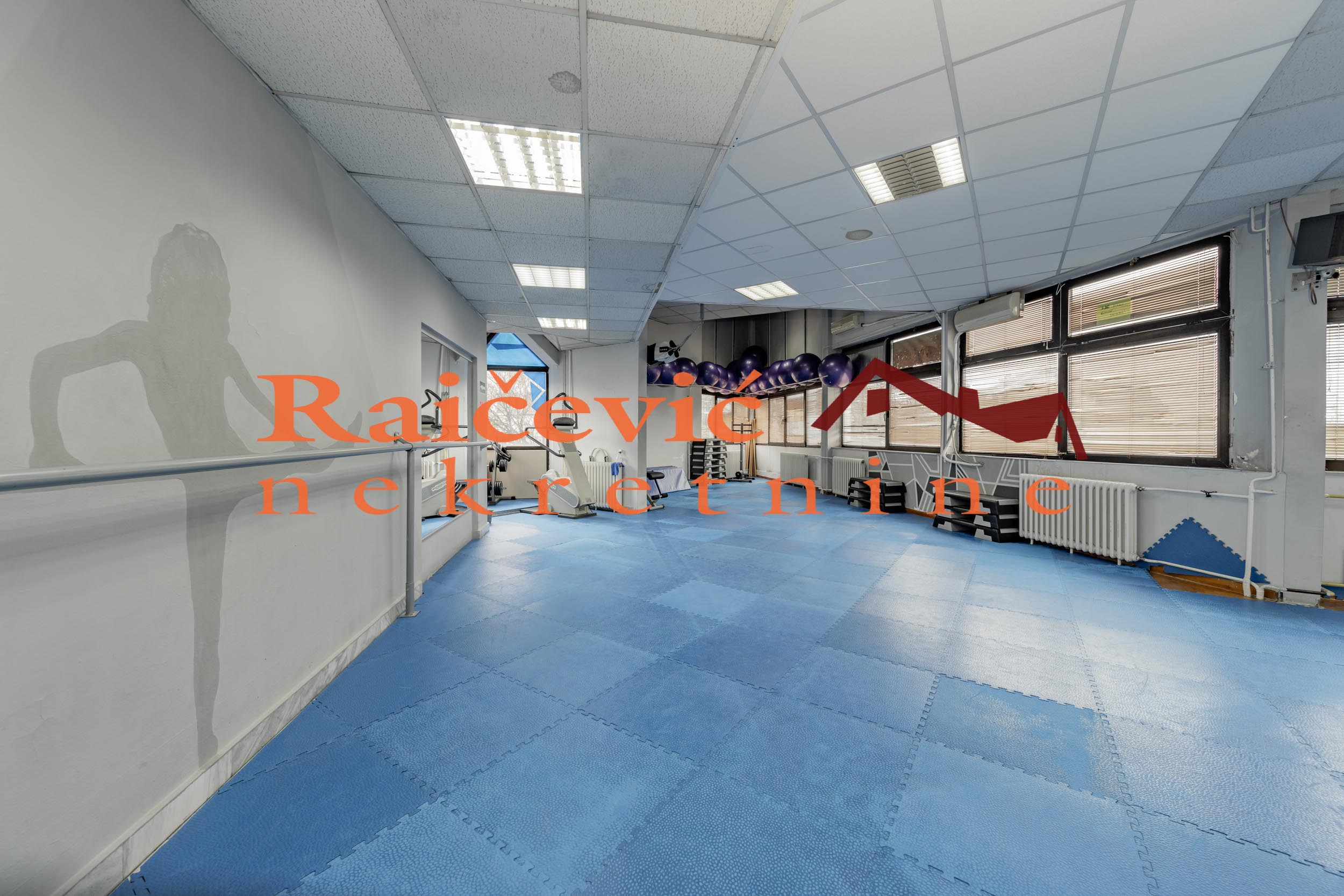 Lokal Prodaja Beograd Lokal Prodaja Beograd Banovo Brdo 273 m2