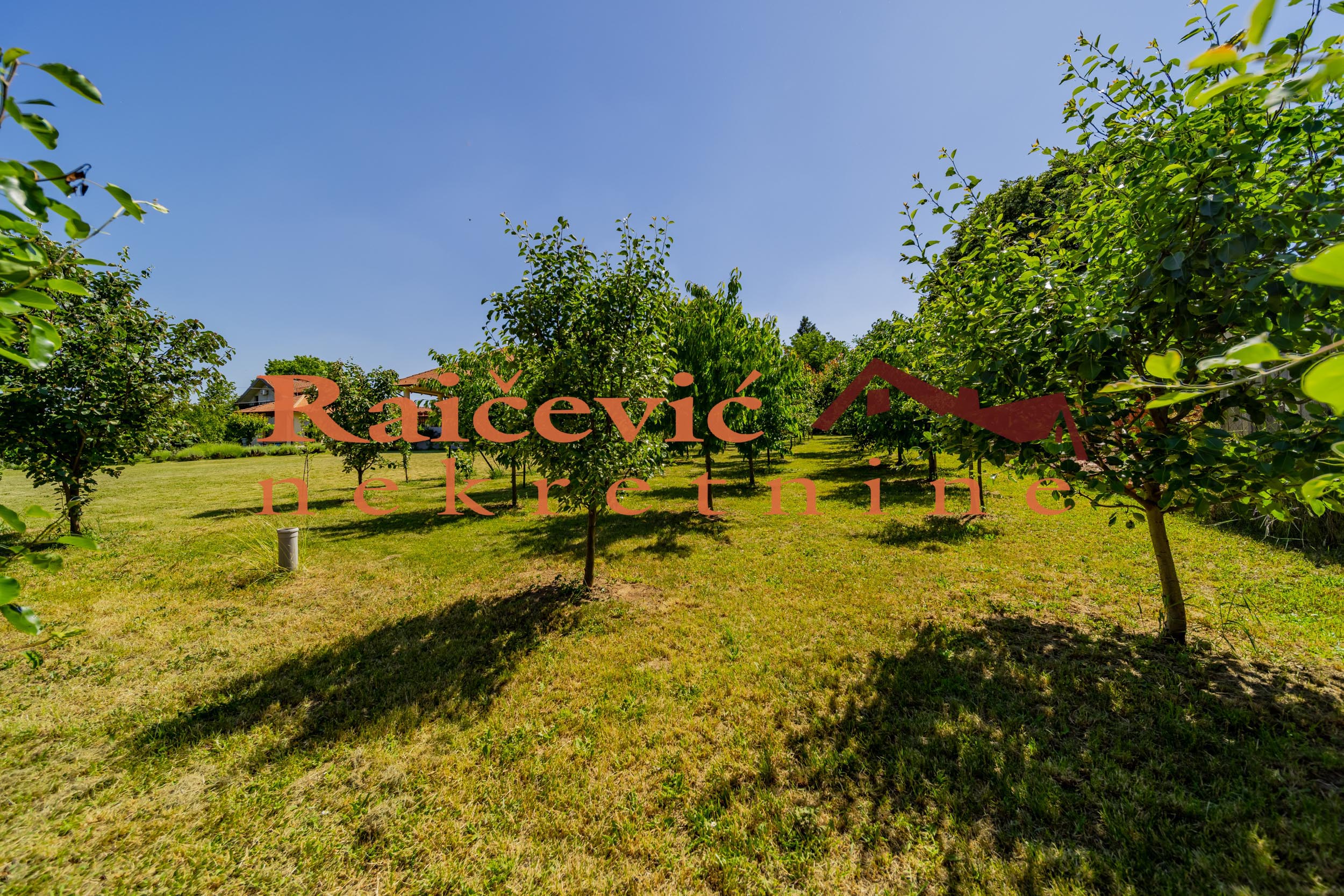 Kuća Prodaja Beograd  257 m2