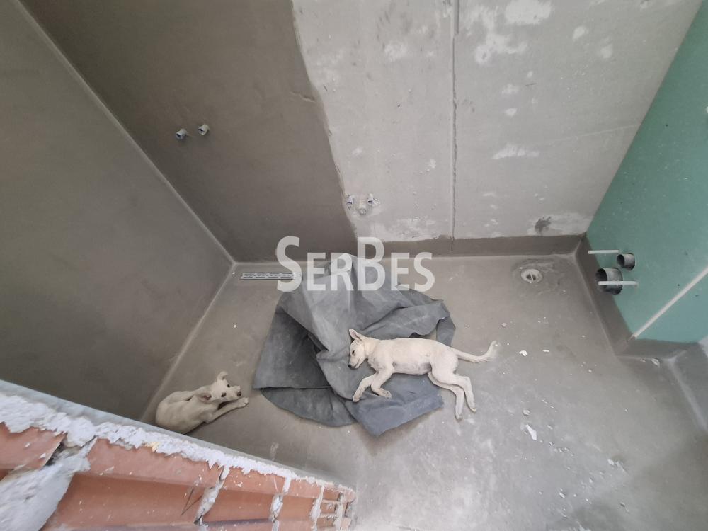 211001901_16_20260911143145 Dvoiposoban stan na prodaju, Alibegovac, Novi Sad, 55m², 90.990 €