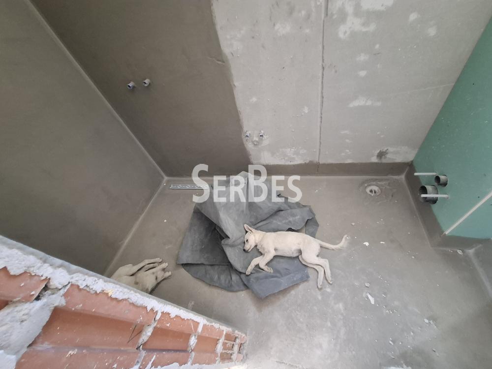 211001901_17_20260911143145 Dvoiposoban stan na prodaju, Alibegovac, Novi Sad, 55m², 90.990 €