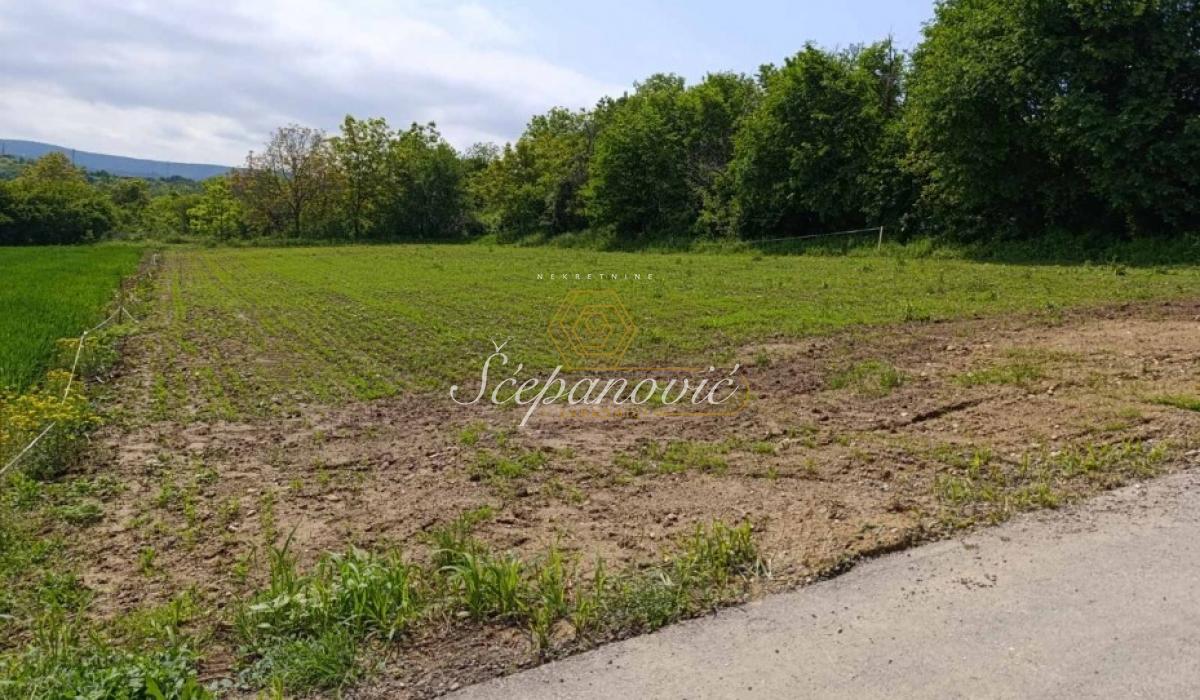 Plac Prodaja Novi Sad  1367 m2