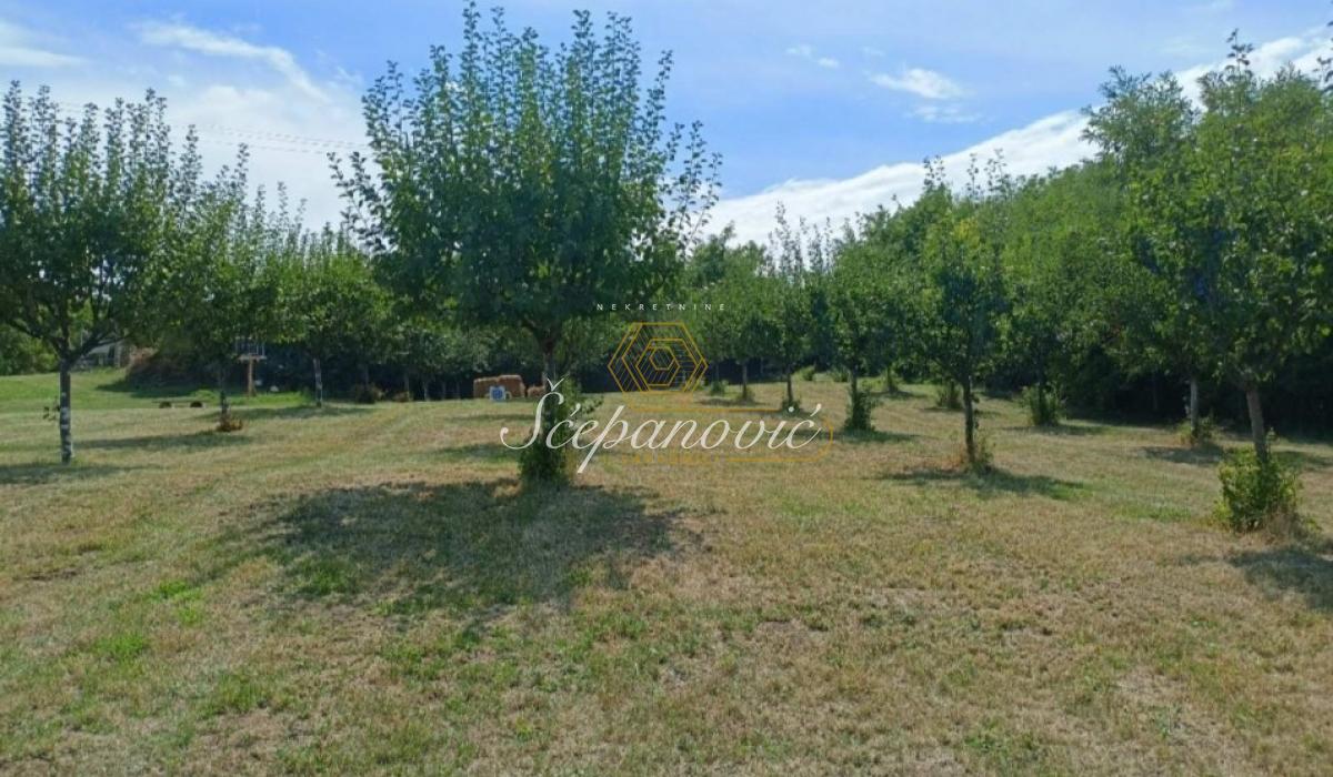 Kuća na prodaju, Čortanovci, Inđija, 30m², 184.000 €