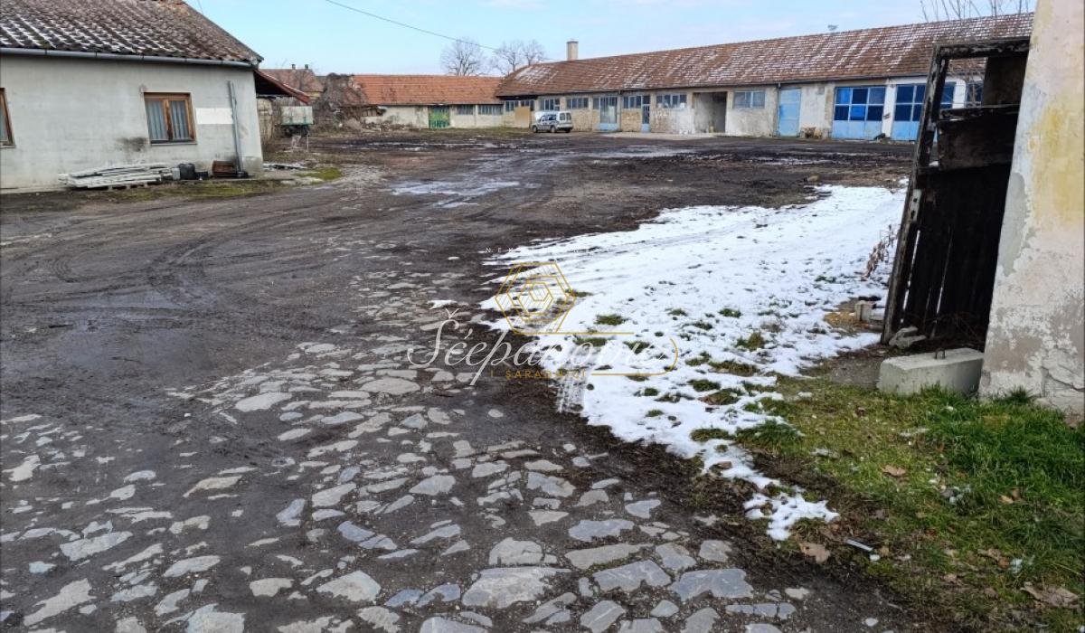 Lokal Izdavanje Sombor  296 m2
