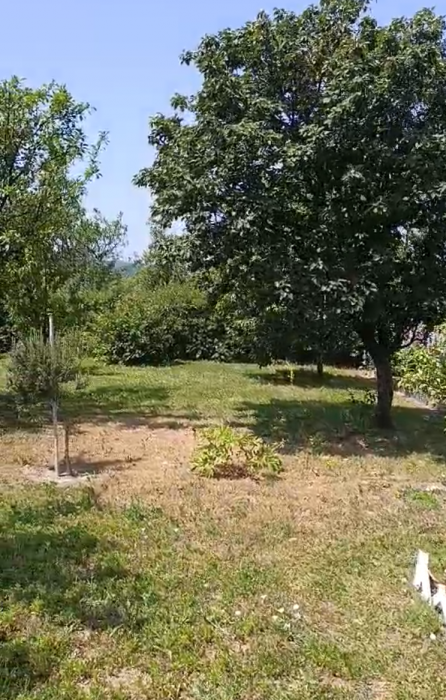 Kuća Prodaja Fruška Gora Kuća Prodaja Fruška Gora 56 m2