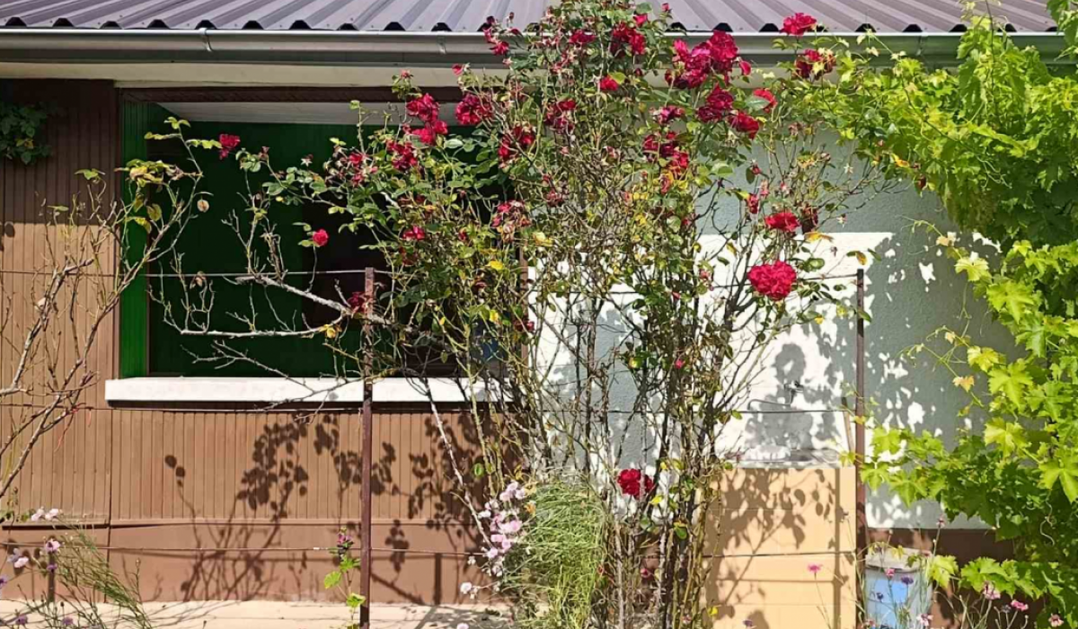 Kuća Prodaja Fruška Gora Kuća Prodaja Fruška Gora 56 m2