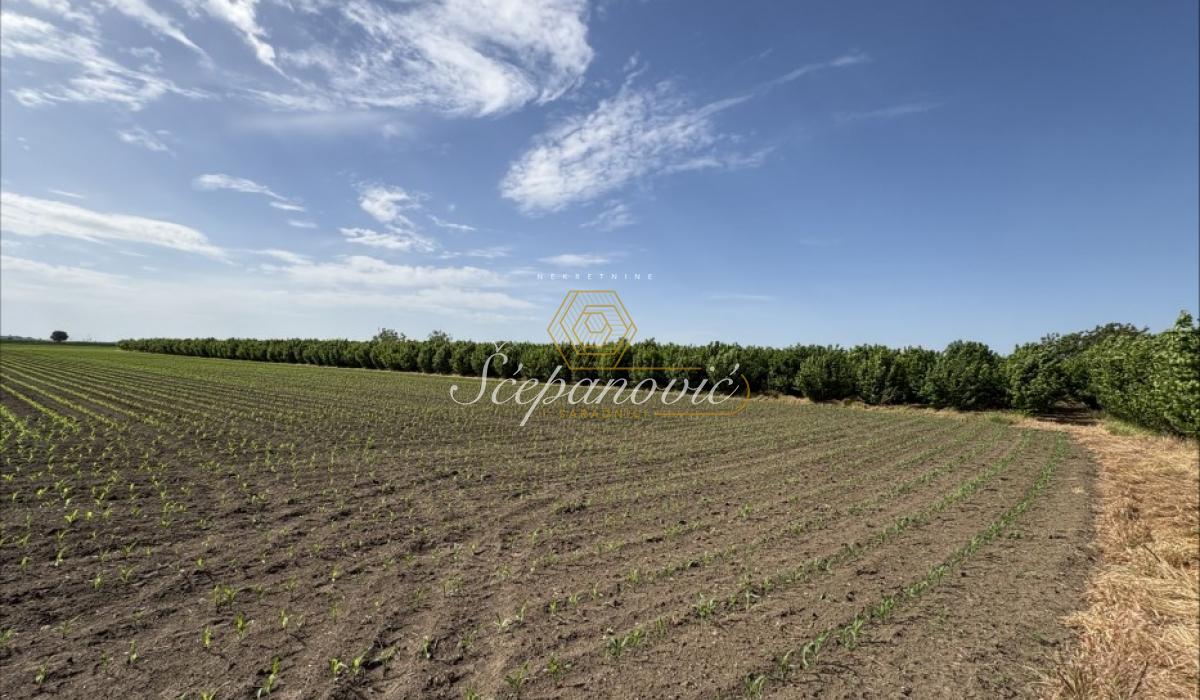 Plac Prodaja Sremska Mitrovica  22289 m2