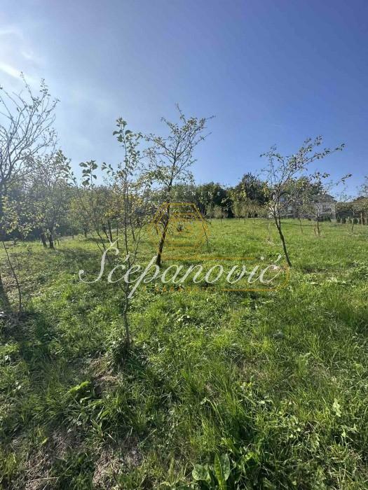 Plac Prodaja Irig Plac Prodaja Irig 1678 m2