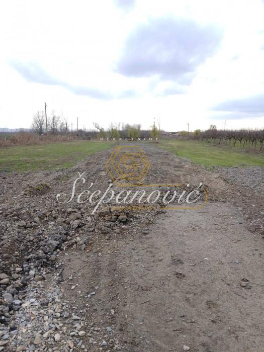 Plac Prodaja Novi Sad  5420 m2