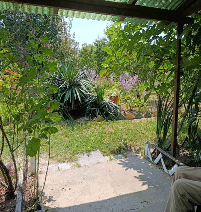 Kuća Prodaja Fruška Gora Kuća Prodaja Fruška Gora 56 m2