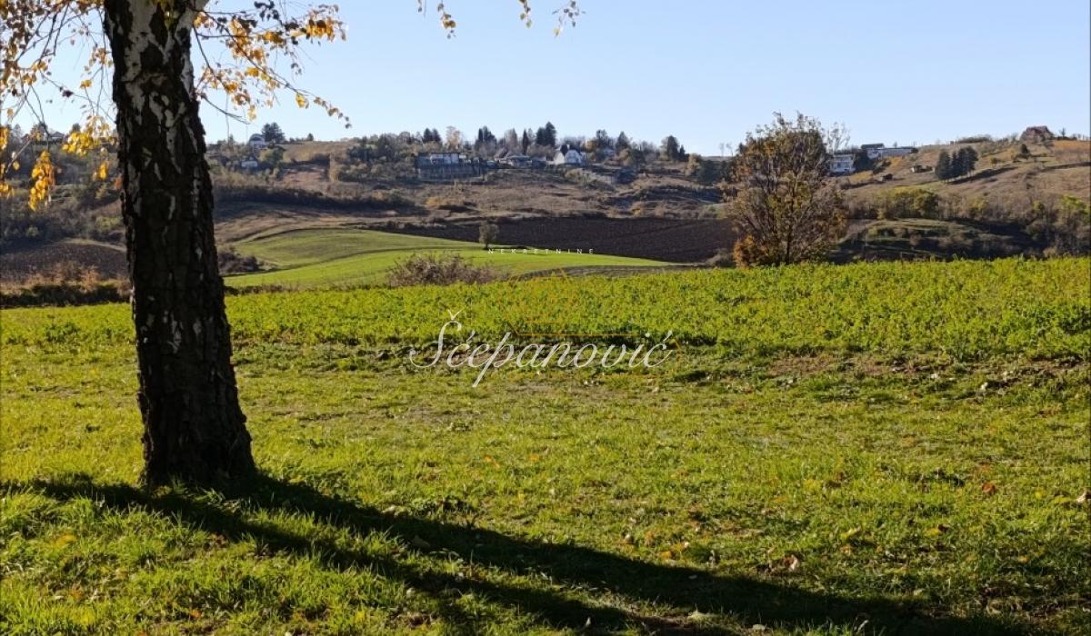 Plac Prodaja Novi Sad Plac Prodaja Novi Sad 21066 m2