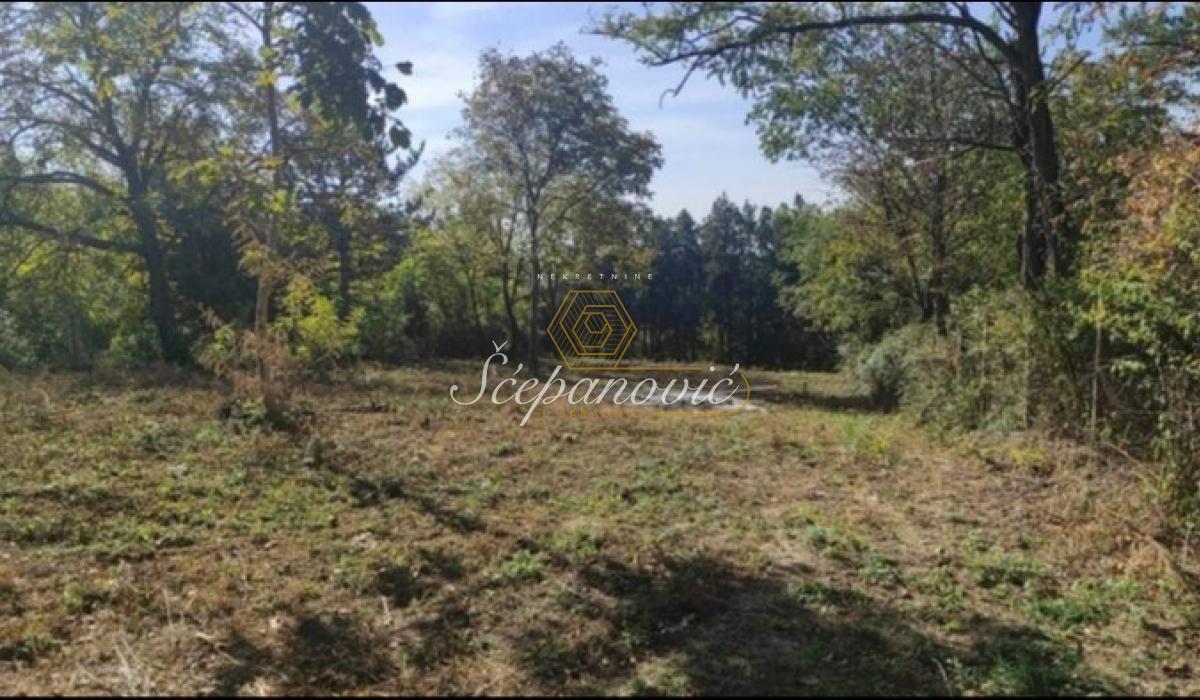 Plac Prodaja Inđija Plac Prodaja Inđija 1814 m2