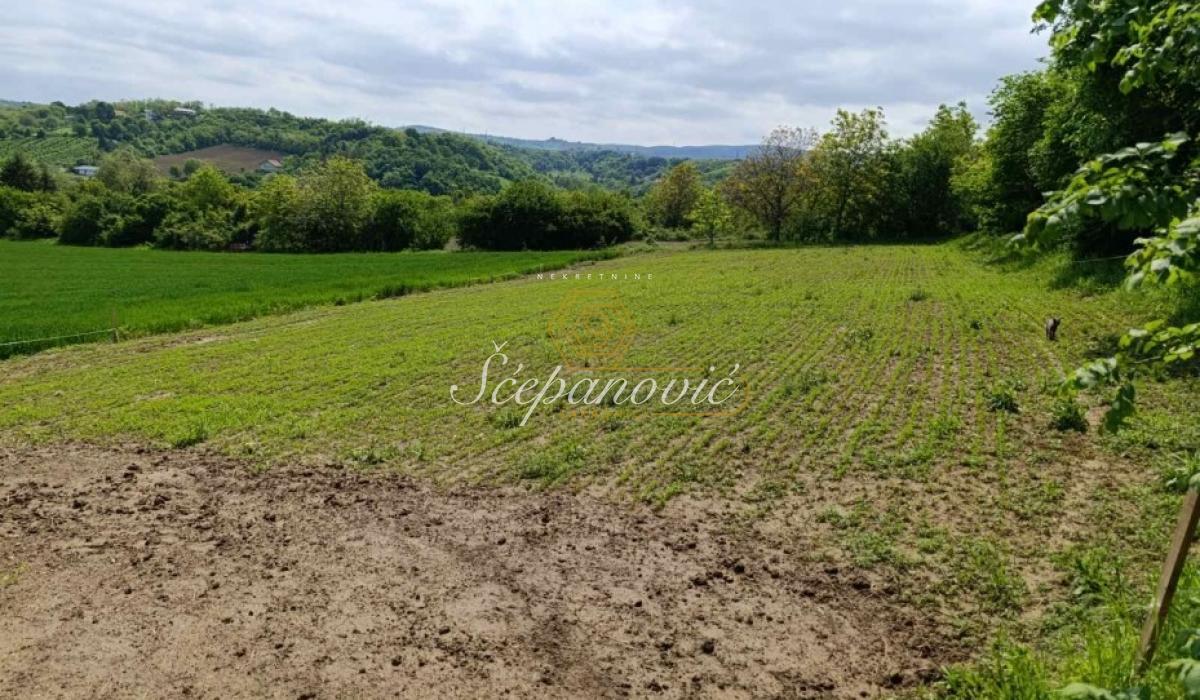 Plac Prodaja Novi Sad  1367 m2