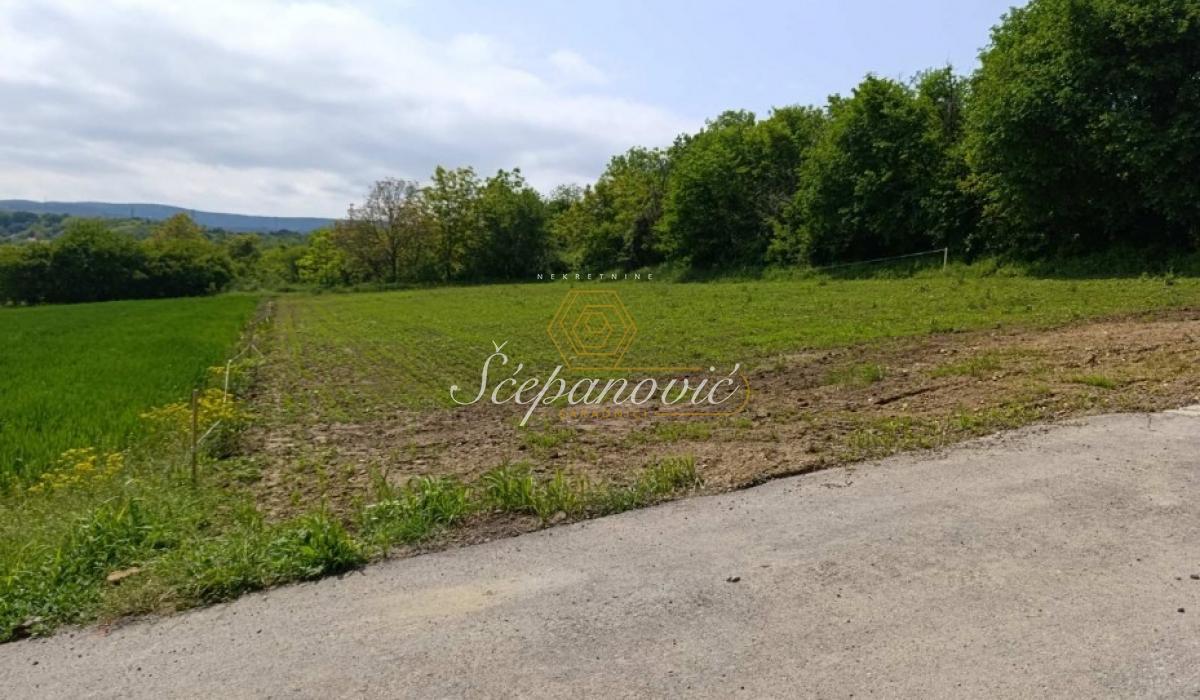 Plac Prodaja Novi Sad  1367 m2