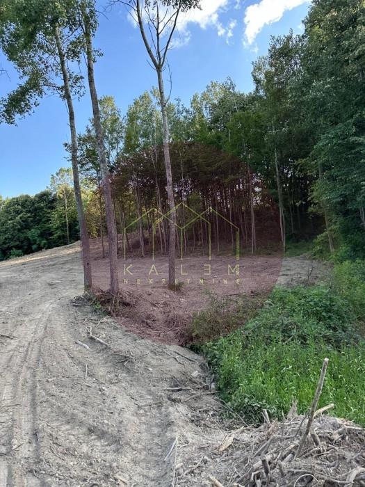Plac Prodaja Beograd Plac Prodaja Beograd Kosmaj 4328 m2