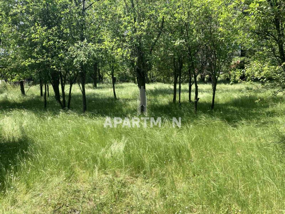 Plac Prodaja Knić Plac Prodaja Knić 0 m2