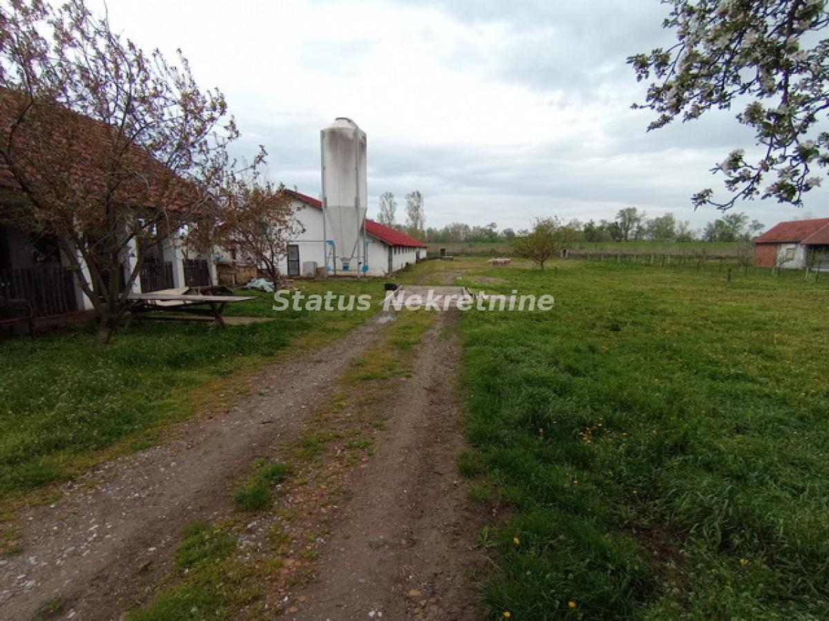 Lokal na prodaju, Mošorin, Titel, 848m², 257.500 €