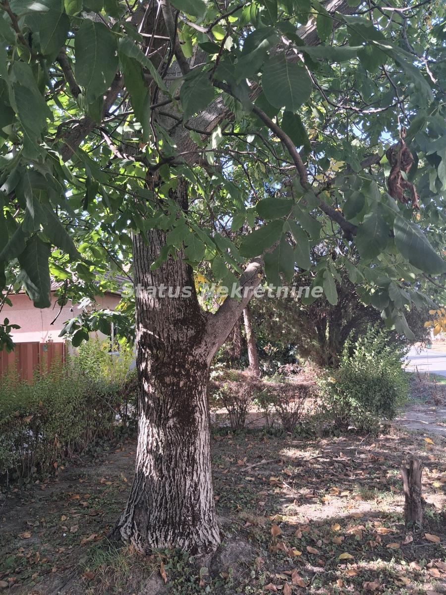 Kuća Prodaja Vrbas Kuća Prodaja Vrbas 66 m2