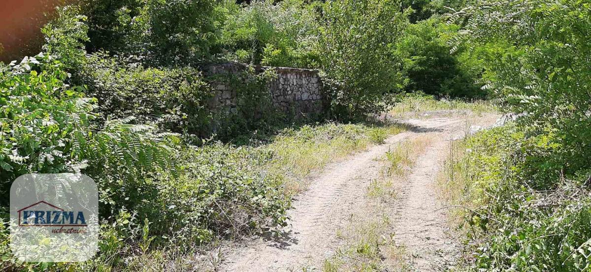 Lokal Prodaja Paraćin  178 m2