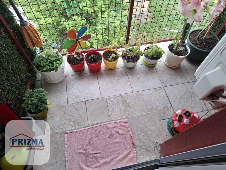 index Dvoiposoban stan na prodaju, Jagodnjak, Paraćin, 61m², 53.000 €