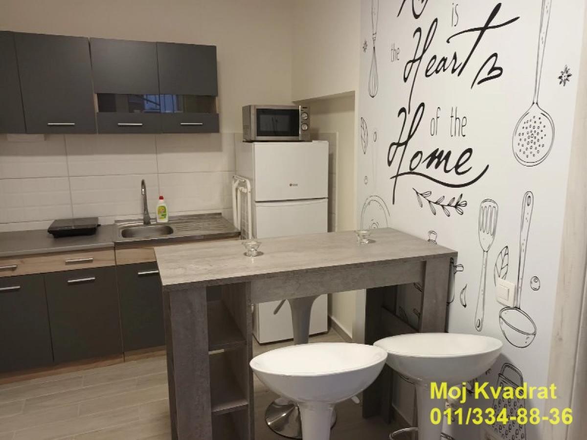 Stan Izdavanje Beograd Stan Izdavanje Beograd Botanička Bašta 35 m2