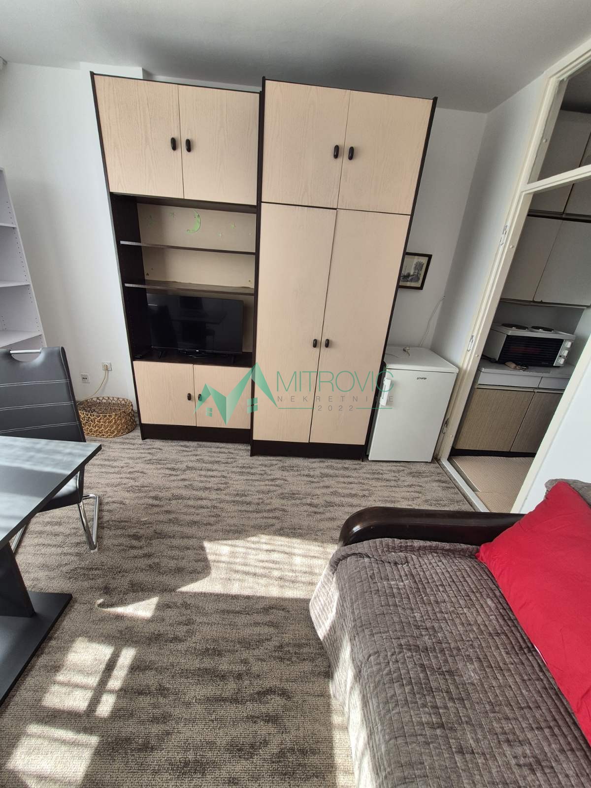 Stan Izdavanje Novi Sad Liman 2 20 m2