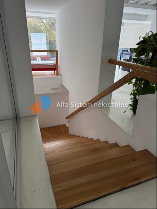 kuca-izdavanje-beograd-BZsn2mujyL Lokal za izdavanje, Skupština, Beograd, 281m², 3.750 €/mes