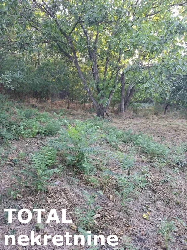 Kuća Prodaja Beočin Kuća Prodaja Beočin 33 m2