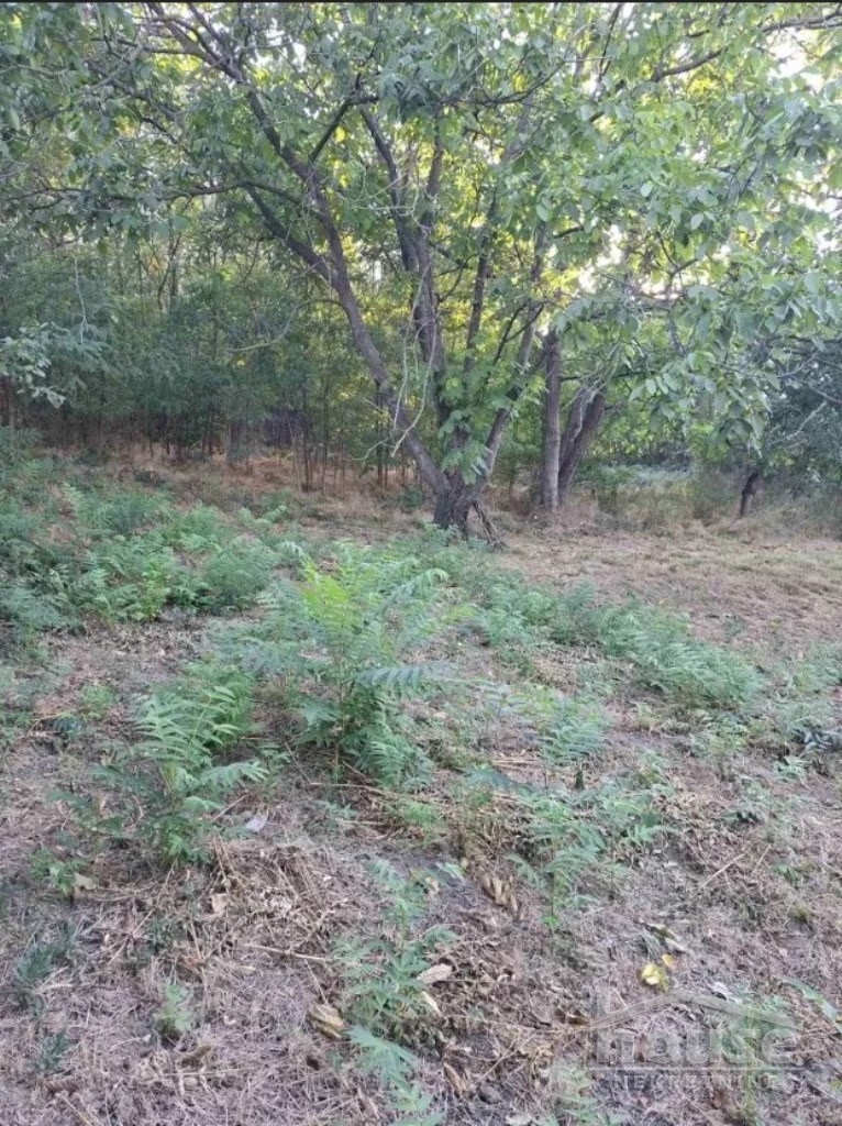 Kuća Prodaja Beočin Kuća Prodaja Beočin 33 m2