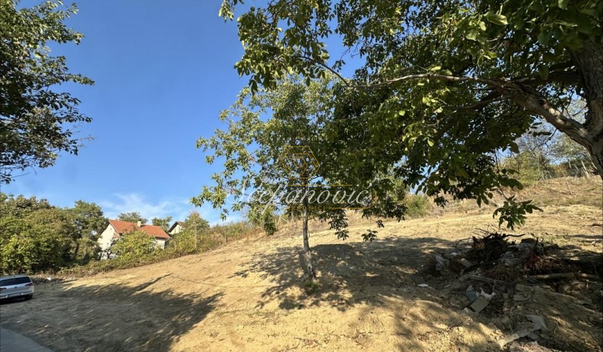 Plac Prodaja Novi Sad Plac Prodaja Novi Sad Vezirac 2670 m2