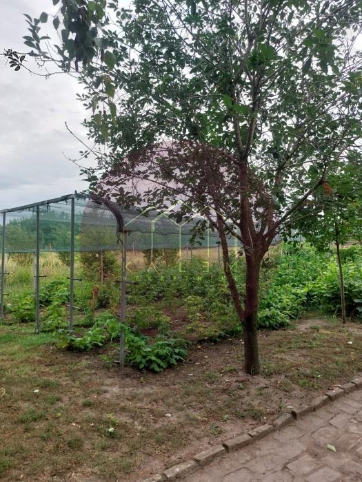 Kuća Prodaja Subotica Kuća Prodaja Subotica 155 m2