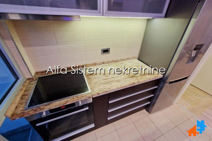 nekretnine_izdavanje_mGGWOGej8 Stan Izdavanje Beograd Dedinje 148 m2
